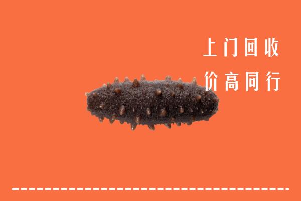高价求购：驻马店市遂平县回收海参